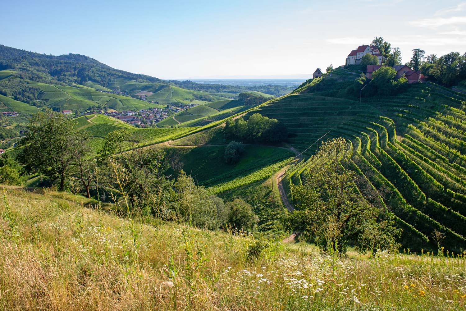 Schwarzwald