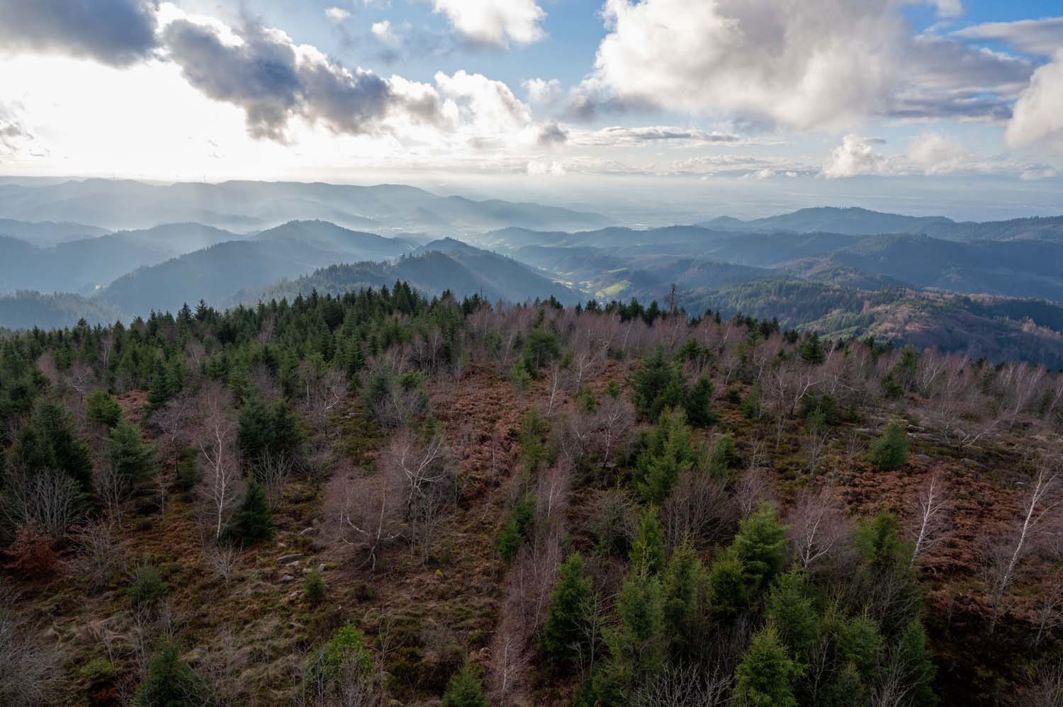 Schwarzwald
