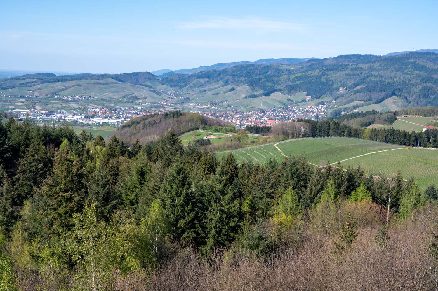 Schwarzwald