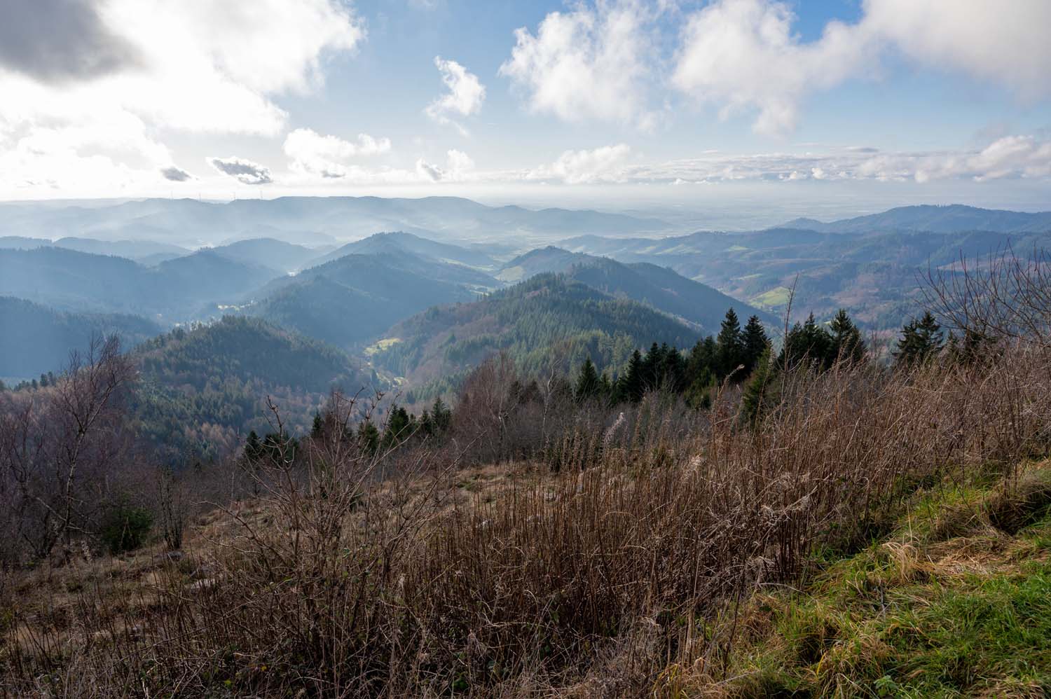 Schwarzwald